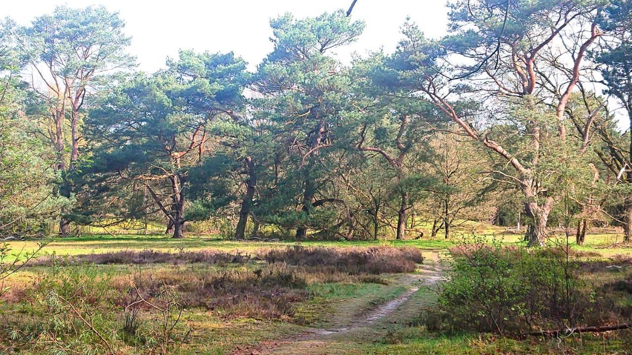 앵루 *Butterfly* Heerlijke Chalet Met Omheinde Tuin In Bosrijke Omgeving. 빌라 외부 사진